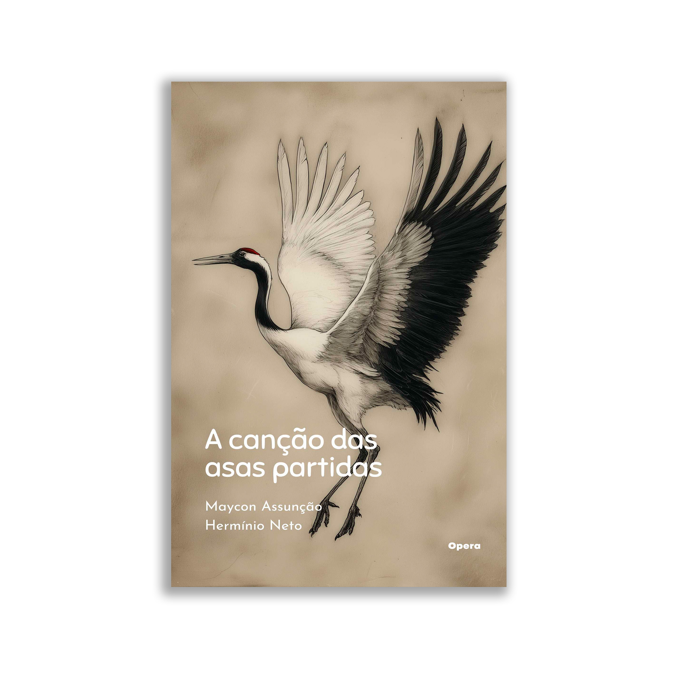 A canção das asas partidas